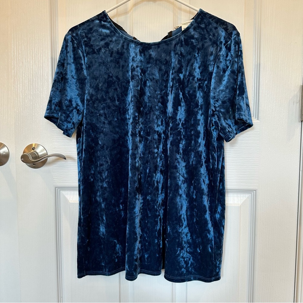 Beachlunchlounge Blue Velvet Short Sleeve Top